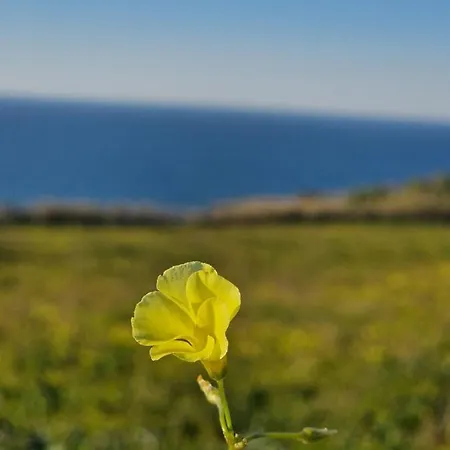 בית נופש Bouro's Cliff Serra do Bouro