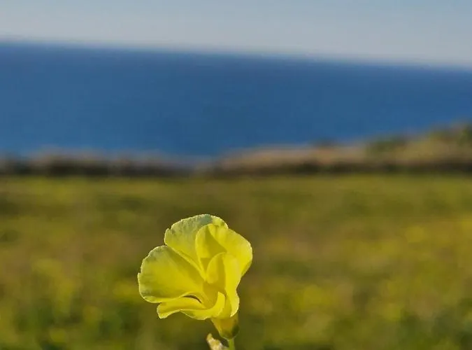 Ferienhaus Bouro's Cliff Serra do Bouro